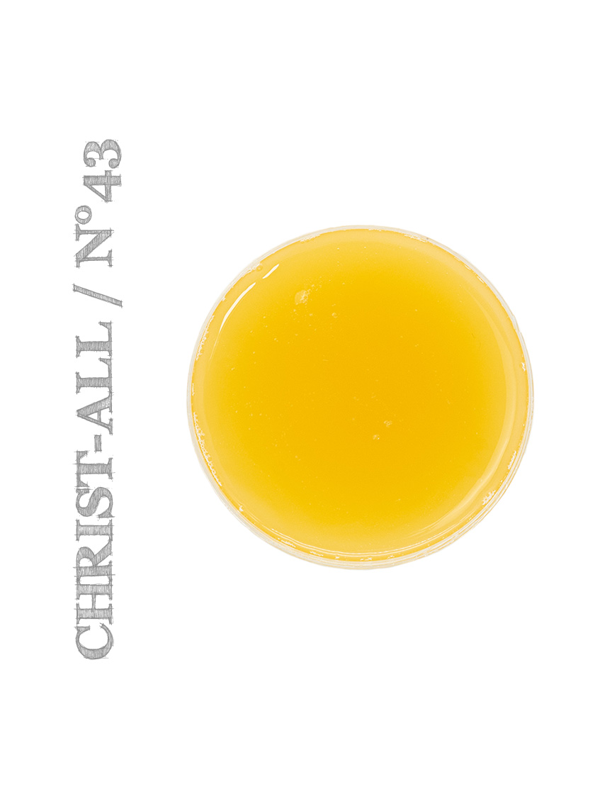 Christ - all 43