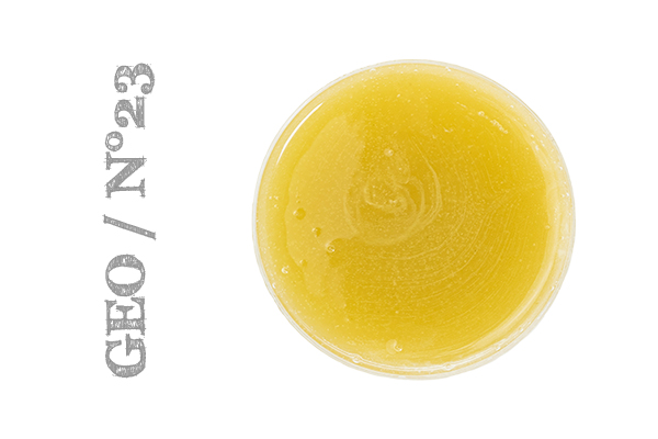 Geo 23