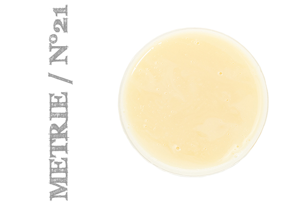 Metrie 21
